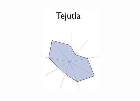 Gráfico radial de SANTIAGO NONUALCO