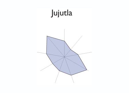 Gráfico radial de SUCHITOTO