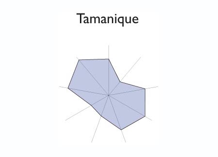 Gráfico radial de SAN PEDRO PERULAPAN