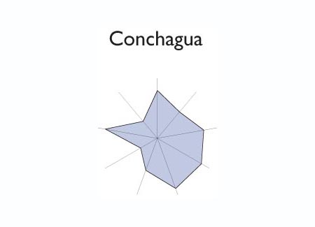 Gráfico radial de SAN JULIAN