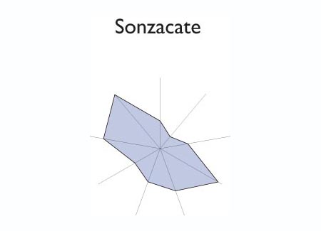 Gráfico radial de SANTO TOMAS