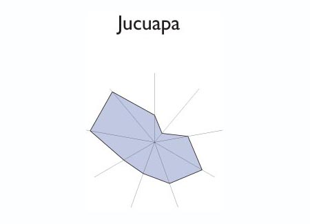 Gráfico radial de COLON