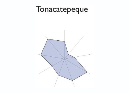 Gráfico radial de SAN MARTIN