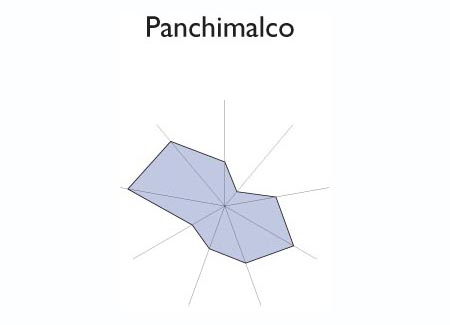 Gráfico radial de SAN MARCOS